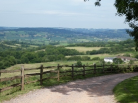 Road into River Cottage